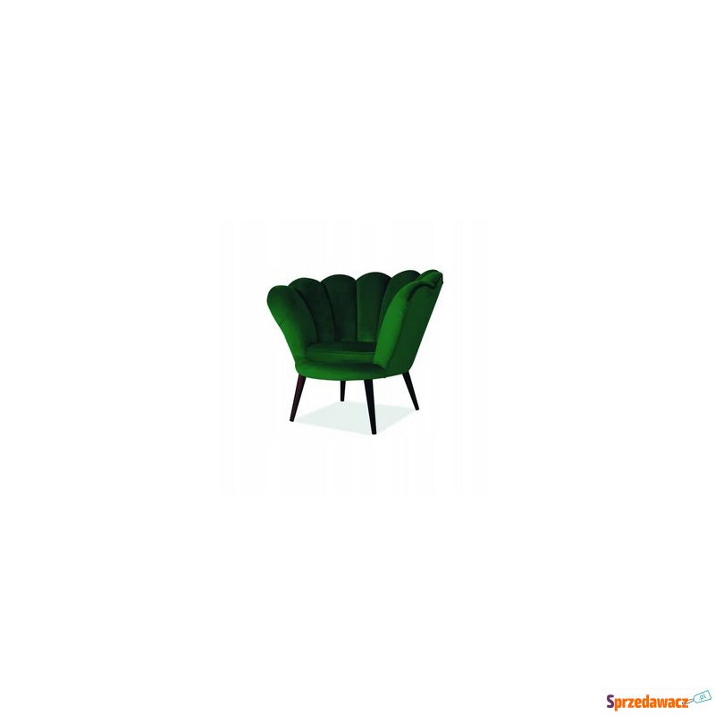 Fotel Magnolia zielony - Sofy, fotele, komplety... - Nowy Targ