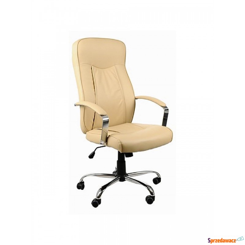 Fotel Aster - Krzesła biurowe - Sopot
