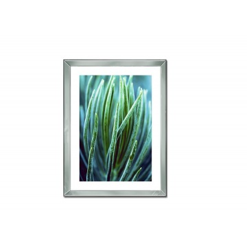 Obraz szklany 60x80 Roślina