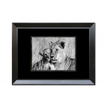 Obraz szklany 80x60 Lwica i lwiątko