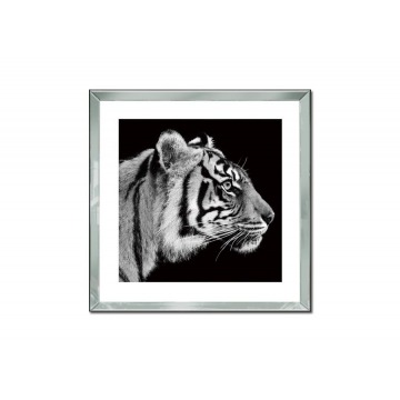 Obraz szklany 60x60 Głowa tygrysa