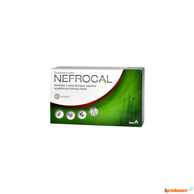Nefrocal x 60 tabletek - Witaminy i suplementy - Suwałki