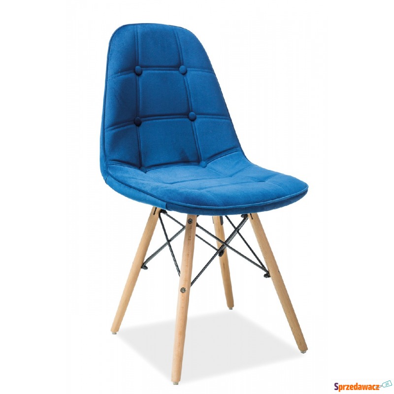 Krzesło Axel III buk/niebieski - Krzesła do salonu i jadalni - Lubin