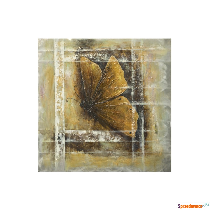 Obraz 100x100 cm Motyl - Obrazy - Psary