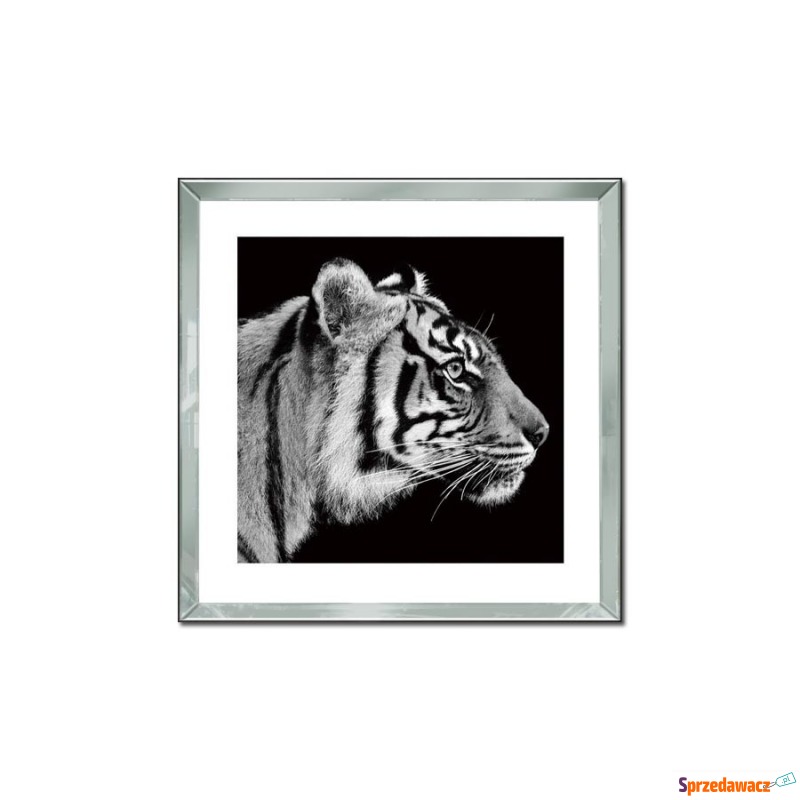 Obraz szklany 60x60 Głowa tygrysa - Obrazy - Olsztyn