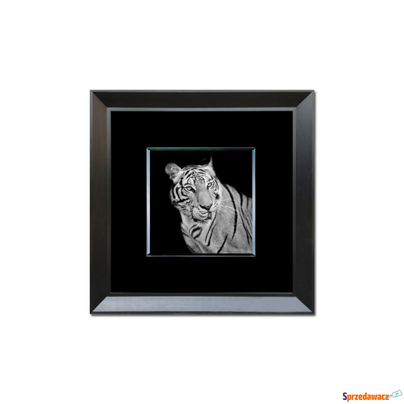 Obraz szklany 80x80 Tygrys (260354) - Obrazy - Krupniki