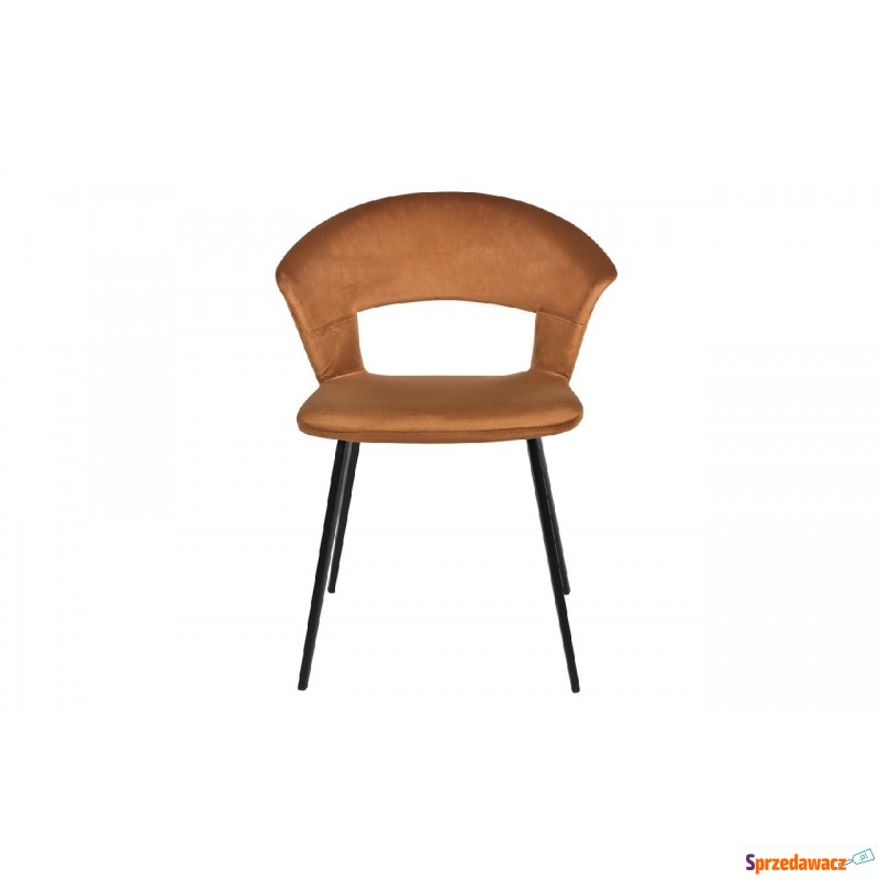 Krzesło PIC miedź - Krzesła do salonu i jadalni - Jastarnia