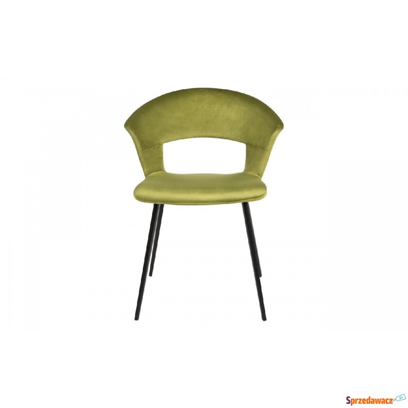 Krzesło PIC zieleń - Krzesła do salonu i jadalni - Bytom