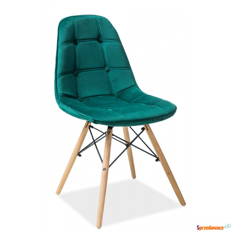 Krzesło Axel III buk/zielony - Krzesła do salonu i jadalni - Nowy Dwór Mazowiecki