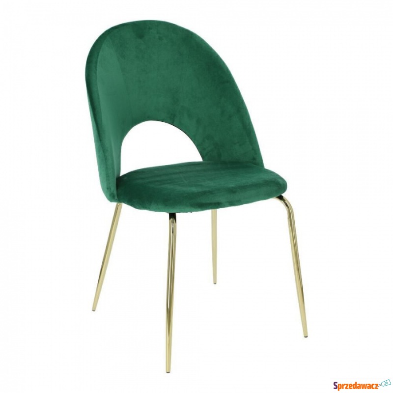 Krzesło Solie Velvet zielone/złote - Krzesła do salonu i jadalni - Chełm