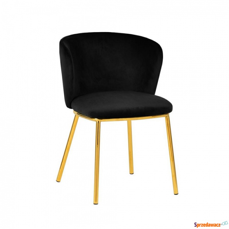 Krzesło MANDY czarne - welur, podstawa złota - Krzesła do salonu i jadalni - Szczecinek