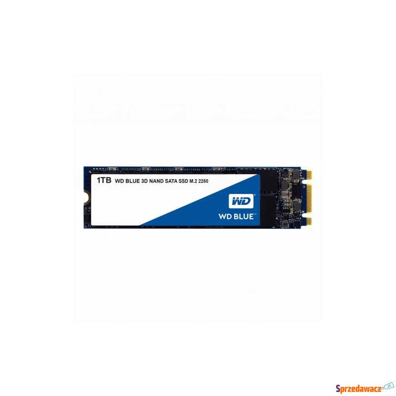 Dysk SSD WD Blue WDS100T2B0B (1 TB ; M.2; SATA... - Dyski twarde - Katowice