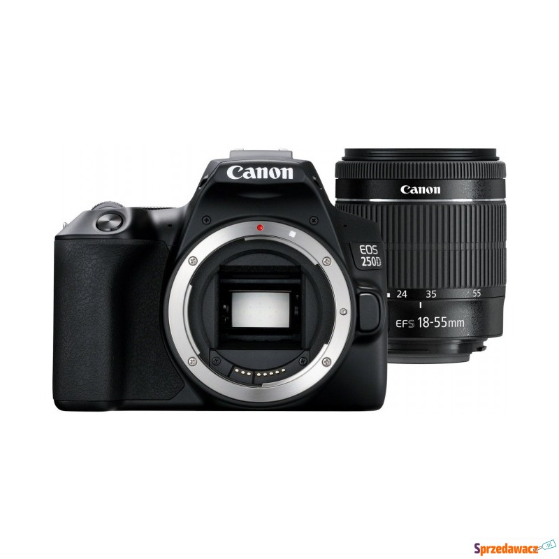 Lustrzanka Canon EOS 250D + obiektyw 18-55mm DC... - Aparaty cyfrowe - Bezrzecze