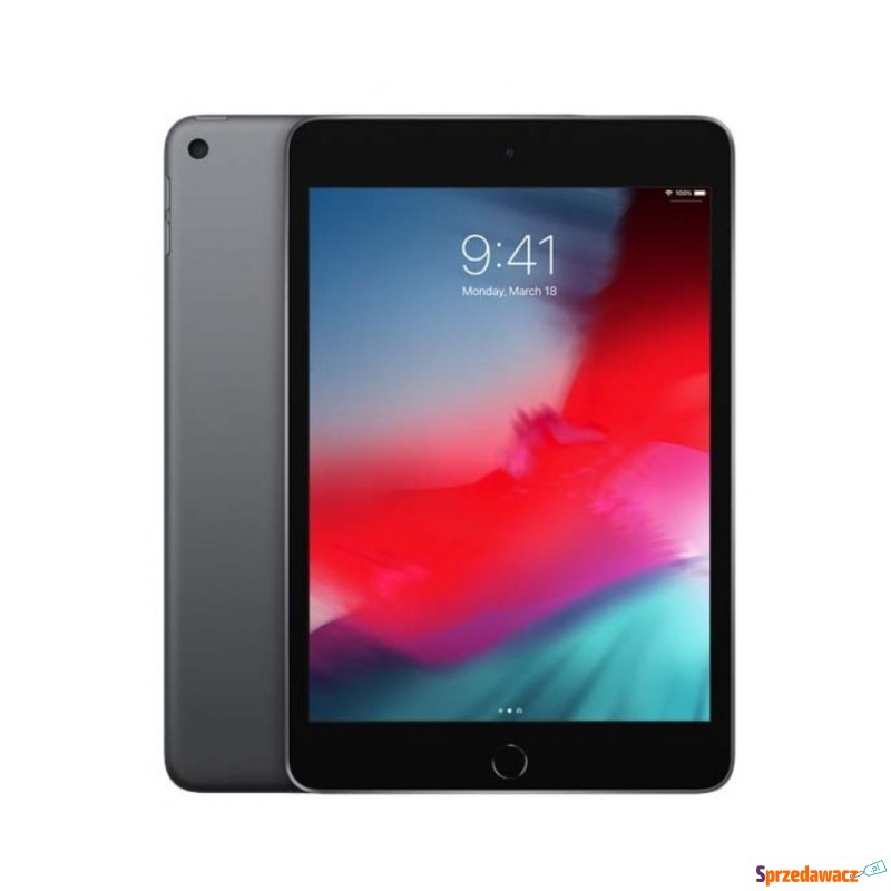 Apple iPad mini (2019) 256GB LTE Gwiezdna szarość - Tablety - Oleśnica