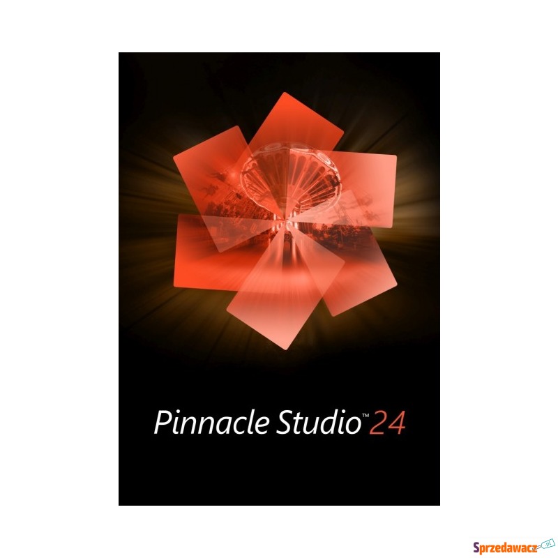 Pinnacle Studio 24 Standard WIN PL ESD - Grafika, multimedia - Świdnica