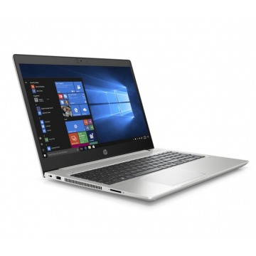 HP ProBook 455 G7 (175R0EA)