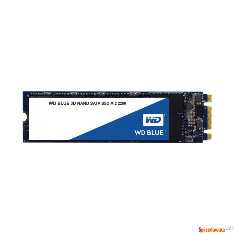 WD Blue 3D Nand SSD M.2 250GB - Dyski twarde - Żagań