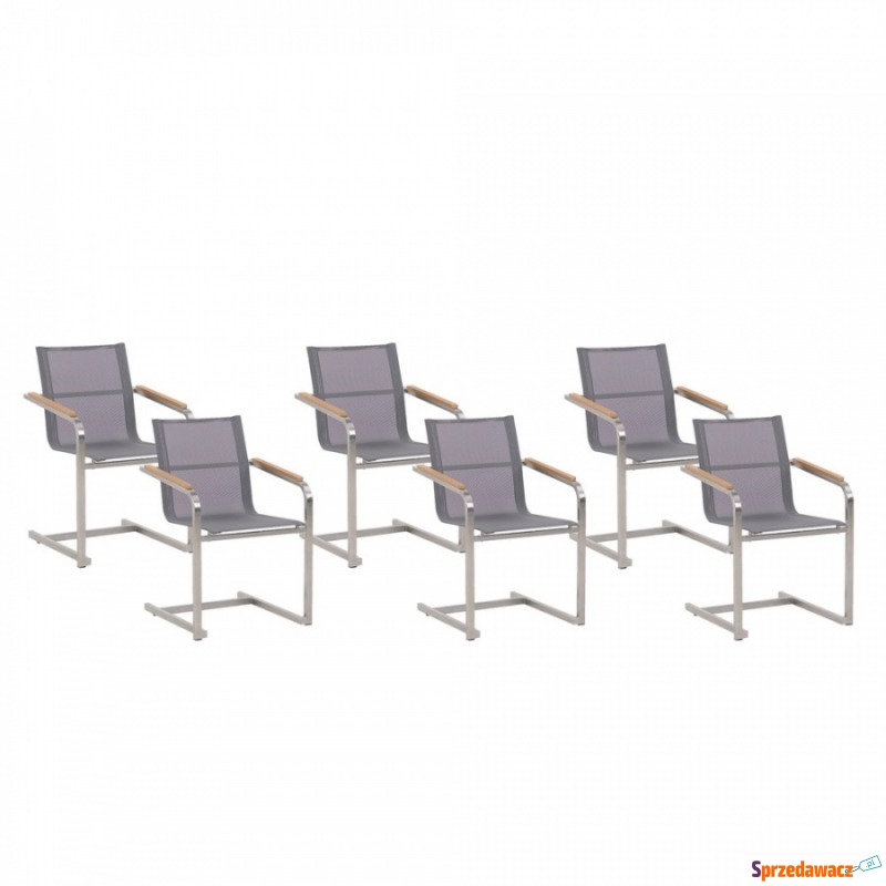 Zestaw 6 krzeseł ogrodowych szary COSOLETO - Krzesła ogrodowe - Skierniewice