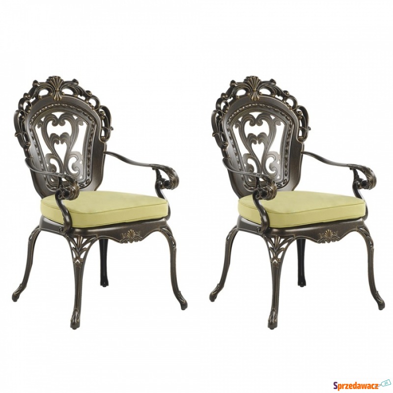 Zestaw 2 krzeseł ogrodowych brązowy SAPRI - Krzesła ogrodowe - Sandomierz