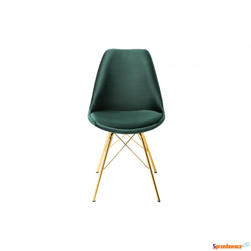 Krzesło Northern zielone, złote nogi - Krzesła kuchenne - Brzeg