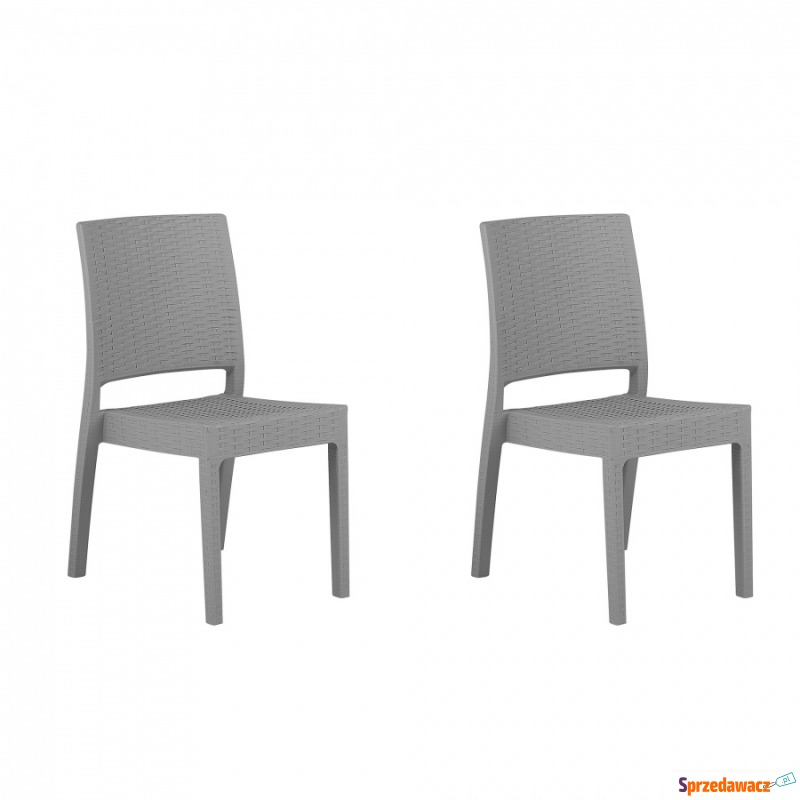 Zestaw 2 krzeseł ogrodowych jasnoszarych FOSSANO - Krzesła ogrodowe - Miszkowice