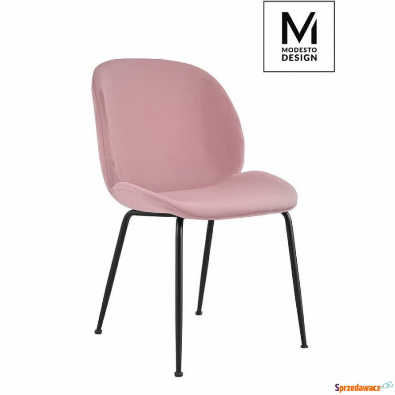 MODESTO krzesło SCOOP pudrowy róż - welur, metal - Krzesła do salonu i jadalni - Działdowo