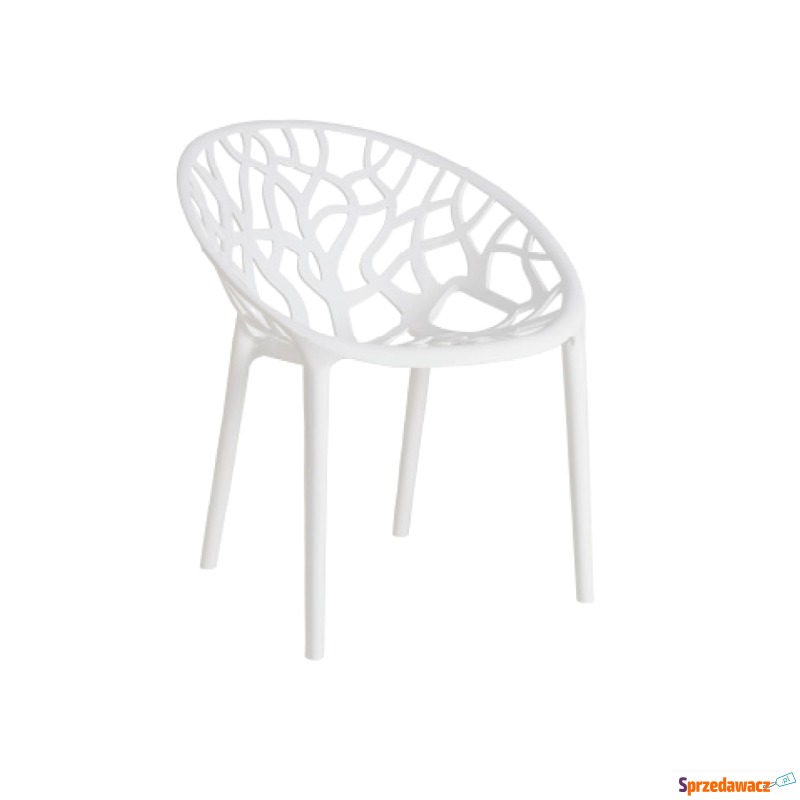 Krzesło Coral White Glossy - Krzesła do salonu i jadalni - Białogard