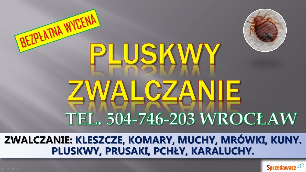 Dezynfekcja na pluskwy, cennik,...