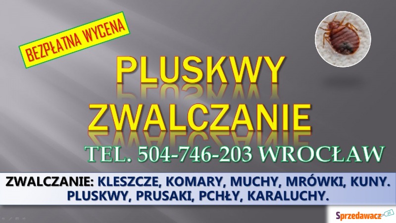 Dezynfekcja na pluskwy, cennik, tel. 504-746-203,... - Pozostałe usługi - Wrocław