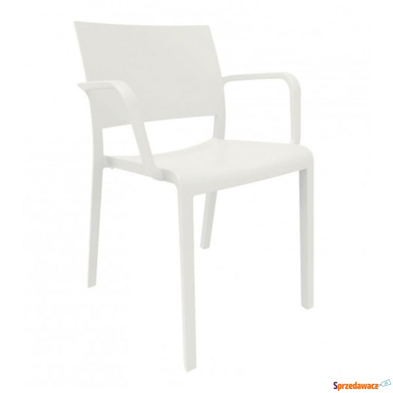 Krzesło New Fiona Bianco - Krzesła kuchenne - Staszów