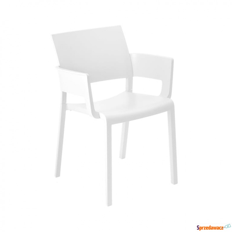 Krzesło Fiona Arm Bianco - Krzesła kuchenne - Kłodzko