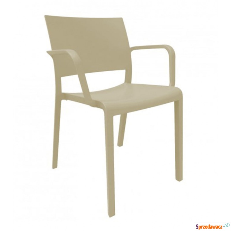 Krzesło New Fiona Arena - Krzesła kuchenne - Rybnik