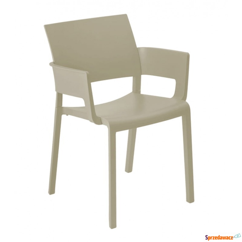 Krzesło Fiona Arm Arena - Krzesła kuchenne - Tarnobrzeg