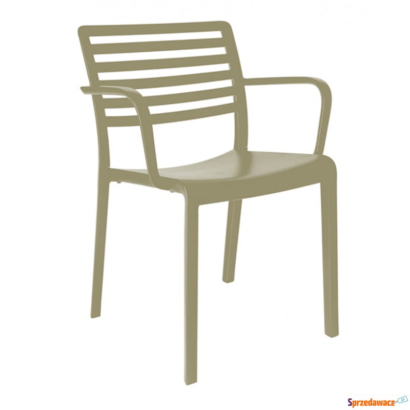 Krzesło Lama Arm Arena - Krzesła kuchenne - Otwock