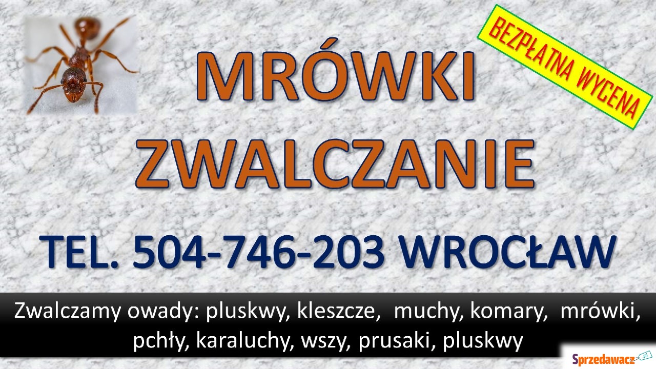 Pozbycie się mrówek tel. 504-7...