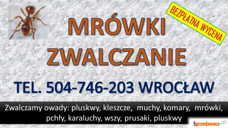 Pozbycie się mrówek tel. 504-746-203, Wrocław.... - Pozostałe usługi - Wrocław