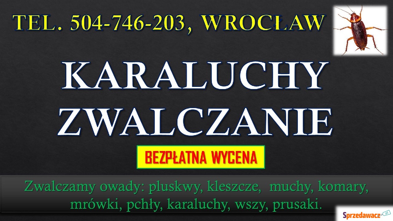 Karaluchy dezynfekcja i zwalczanie,...