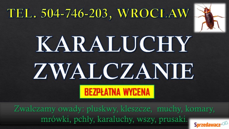 Karaluchy dezynfekcja i zwalczanie, tel. 504-... - Pozostałe usługi - Wrocław