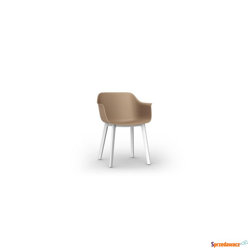 Krzesło Shape Click Sand Resol - Krzesła kuchenne - Chocianowice