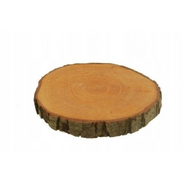 Plaster dekoracyjny drewno drzewo mały 20-30 cm