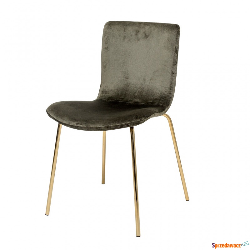 Krzesło Bloom Olive - Krzesła kuchenne - Pruszków