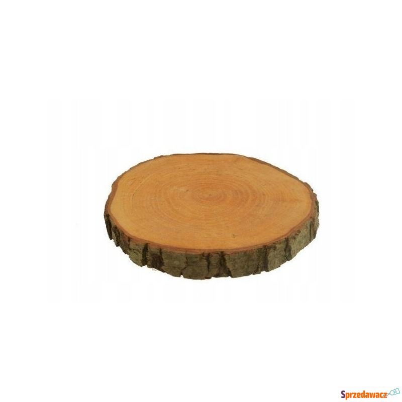 Plaster dekoracyjny drewno drzewo mały 20-30 cm - Osłonki - Końskie