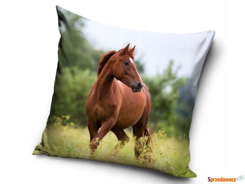 Poduszka dla dzieci przytulanka dziecko koń - Pościel - Chełm