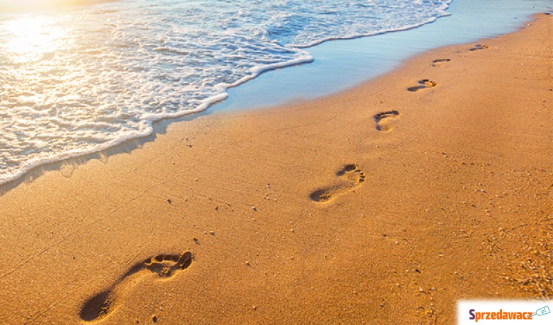*Apartament Costa Blanca. > In...