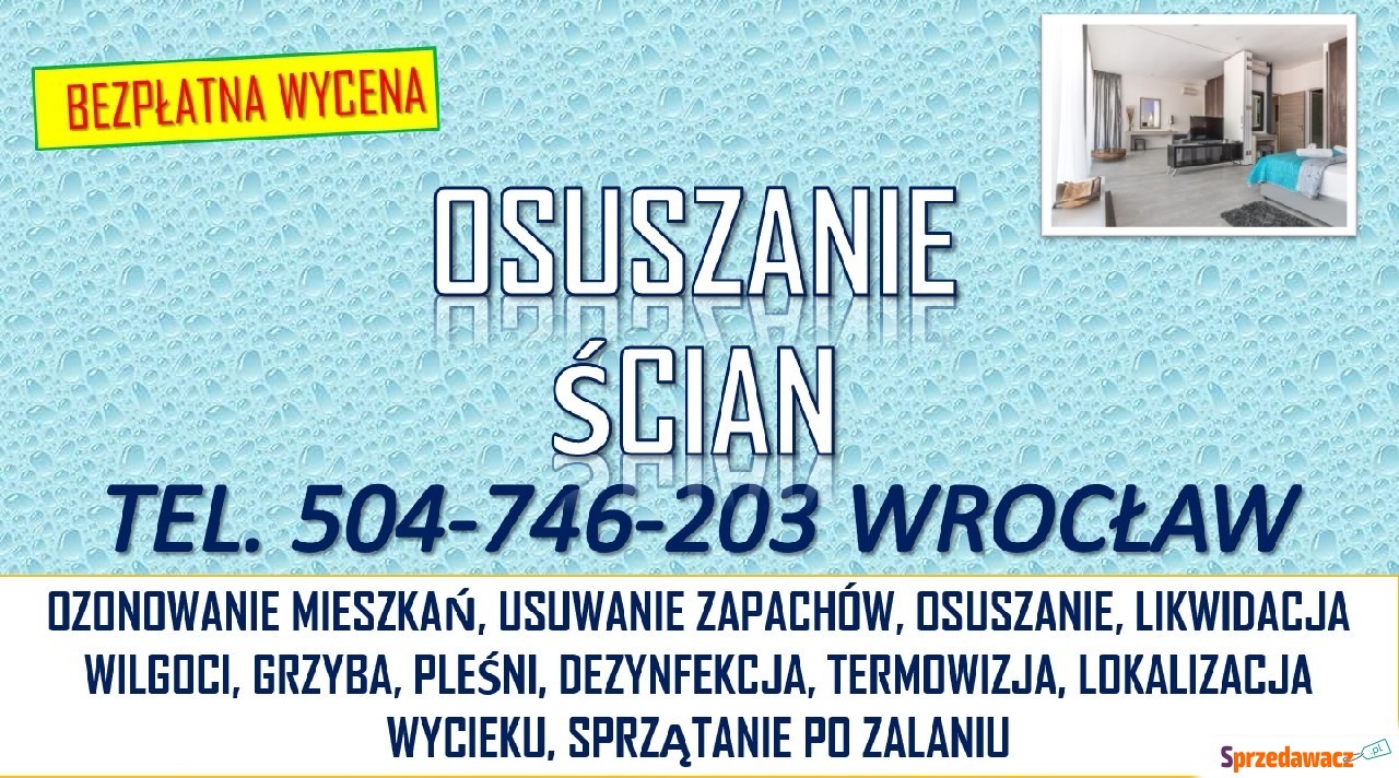 Usuwanie wilgoci  ze ściany, c...