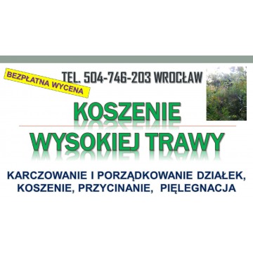 Wycinanie krzaków, cena, tel. 504-746-203. Ka... - Pozostałe usługi - Wrocław - zdjęcie 3