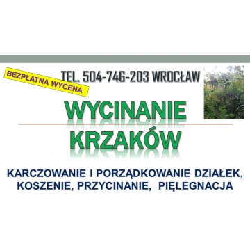 Wycinanie krzaków, cena, tel. 504-746-203. Karczowanie zarośli, Wrocław. Czyszczenie działki.