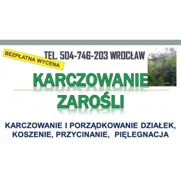 Wycinanie krzaków, cena, tel. 504-746-203. Ka... - Pozostałe usługi - Wrocław - zdjęcie 2