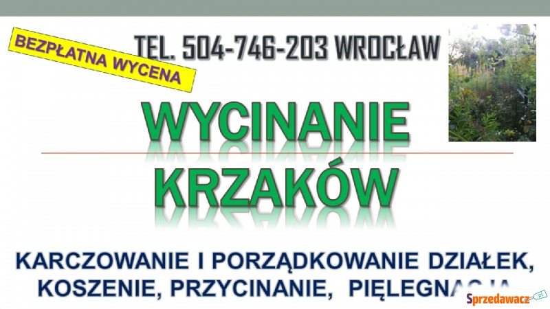 Wycinanie krzaków, cena, tel. 504-746-203. Ka... - Pozostałe usługi - Wrocław