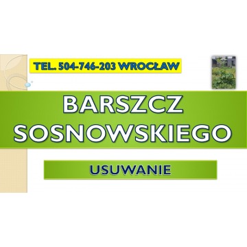 Usuwanie barszczu Sosnowskiego, tel. 504-746-203, cena, zwalczanie, likwidacja, cennik, Wrocław.